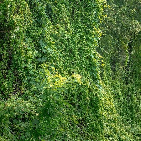 Вилла Turisticna Kmetija Stanfel Podsabotin Экстерьер фото